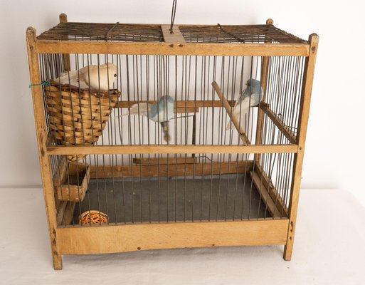 Antique French Country Poplar & Iron Bird Cage, 1900-RIU-1433131