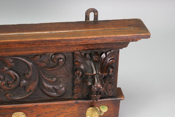 Antique French Hand-Carved Oak and Brass Wall Coat Rack with Lion Heads, 1900s-KEG-1174194