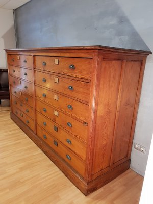 Antique Industrial University Lab Cabinet, 1900s-NQV-673272