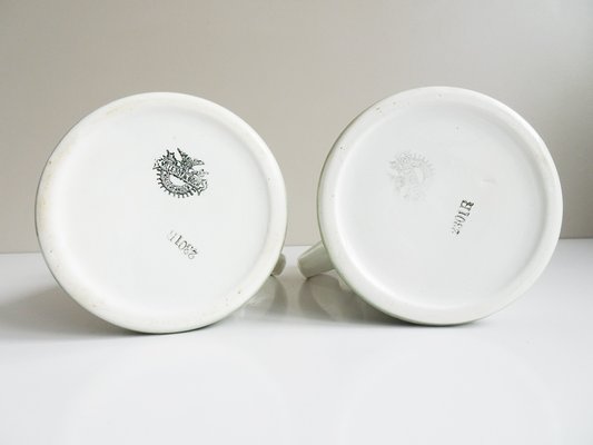 Antique Jugs with Spray Decor from Villeroy & Boch, 1890s, Set of 2-BLG-1427585