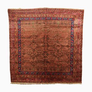 Antique Kotan Rug in Cotton & Wool, Uzbekistan-VMM-2023841