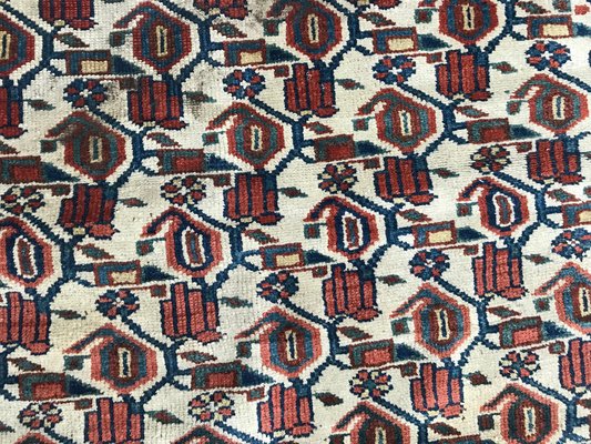 Antique Kurdish Malayer Rug-YMM-1062029