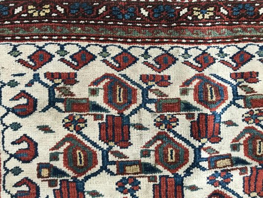 Antique Kurdish Malayer Rug-YMM-1062029