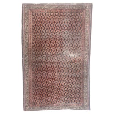 Antique Mir Saraband Rug-YMM-1061684