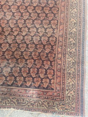 Antique Mir Saraband Rug-YMM-1061684