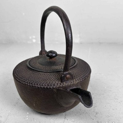 Antique Nanbu Tetsubin Cast Iron Teapot, 1890s-DWL-2024729