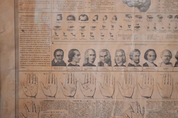 Antique Phrenology, Palmistry, and Physiognomy Lithograph Poster from Maison Basset-AIU-1320192