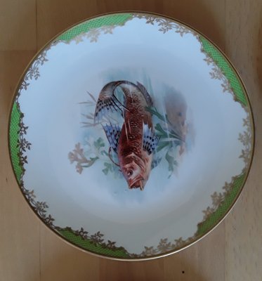 Antique Porcelain Feeder Set with Fish Motif from Rosenthal, 1928, Set of 6-HOI-1360414