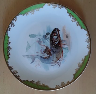 Antique Porcelain Feeder Set with Fish Motif from Rosenthal, 1928, Set of 6-HOI-1360414