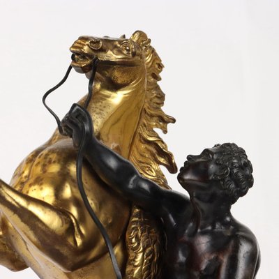 Antique Sculpture Tamer with Horse by G. Coustou, France, 19th Century-VMM-2023816