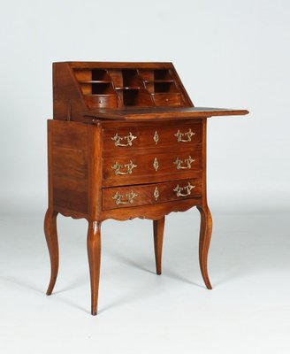 Antique Secretaire in Walnut, 1860s-ZLE-1451414