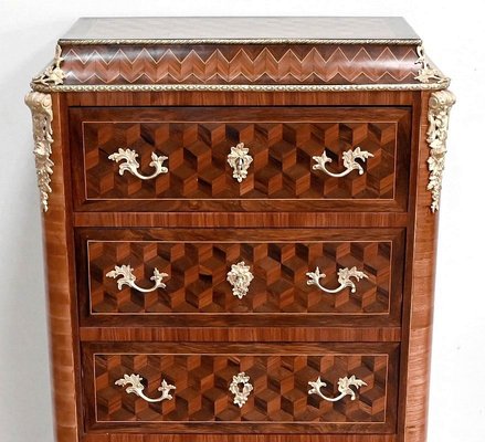 Antique Secretary in Precious Wood-RVK-1394788