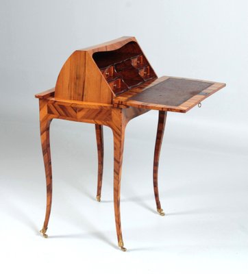 Antique Secretary in Wood, 1800s-ZLE-1725553