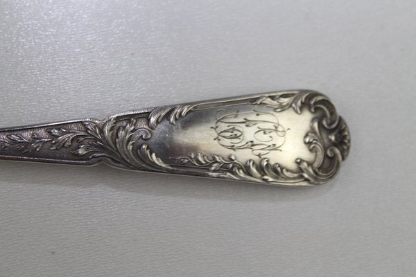 Antique Solid Silver Soup Spoons, 1900s, Set of 12-ZWH-584797