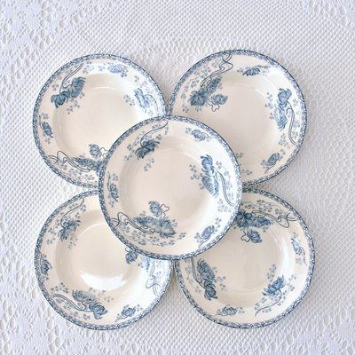 Antique St Amand Plates, 1890s, Set of 5-SHG-2028102