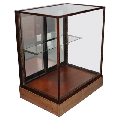 Antique Victorian Mahogany Shop Display Cabinet-XO-1179535