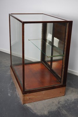 Antique Victorian Mahogany Shop Display Cabinet-XO-1179535