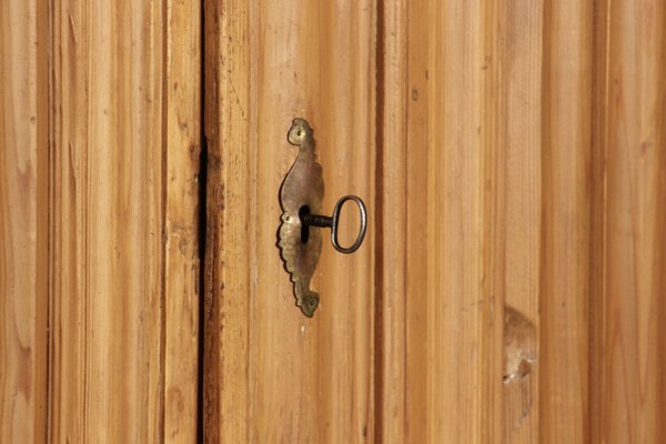 Antique Wardrobe in Softwood, Frankfurt, Germany, 1750s-DXD-1790537