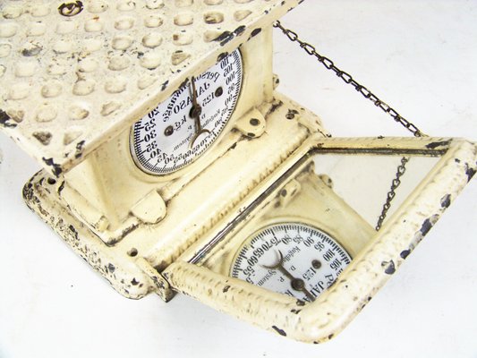 Antique White Scale, 1900s-TZ-1394194