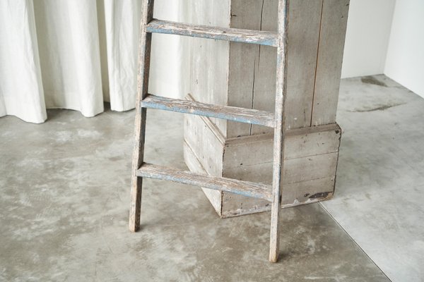 Antique Wooden Ladder in Weathered Paint, 1930s-FEW-2024203