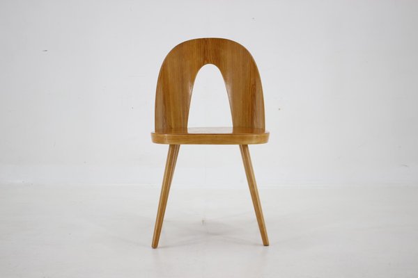 Antoni Suman Chair in Walnut, Czechoslovakia, 1960s-TZ-1724418