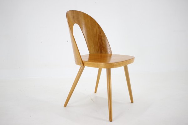 Antoni Suman Chair in Walnut, Czechoslovakia, 1960s-TZ-1724418