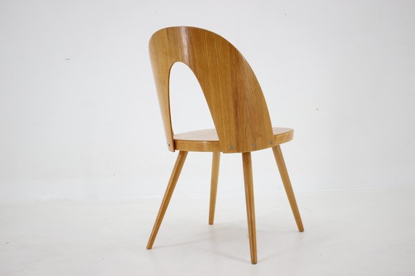 Antoni Suman Chair in Walnut, Czechoslovakia, 1960s-TZ-1724418