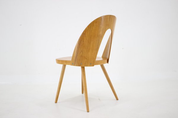 Antoni Suman Chair in Walnut, Czechoslovakia, 1960s-TZ-1724418