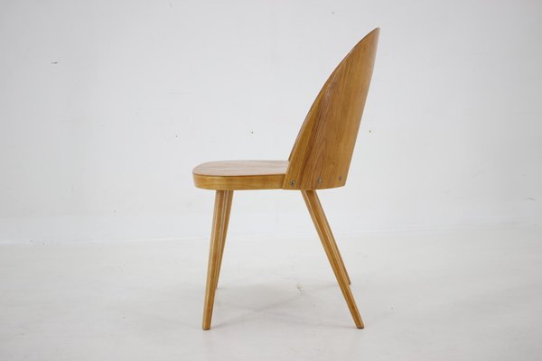 Antoni Suman Chair in Walnut, Czechoslovakia, 1960s-TZ-1724418