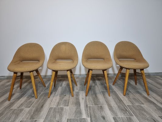 Armchairs by Miroslav Navratil, Set of 4-QJA-1327838