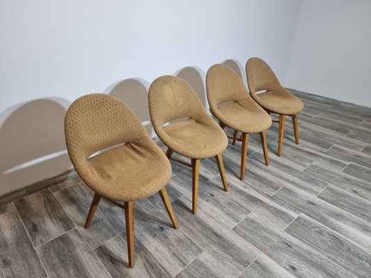 Armchairs by Miroslav Navratil, Set of 4-QJA-1327838