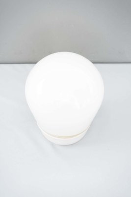 Art Deco Bauhaus Porcelain Ceiling or Wall Lamp, 1930s-SPD-1086850