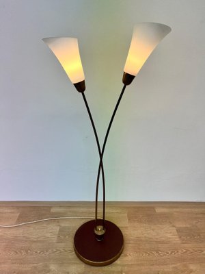 Art Deco Brass and Glass Floor Lamp, 1940s-TZ-1802519