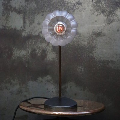 Art Deco French Cast Iron & Frosted Glass Desk Light, 1930s-BLS-2016418