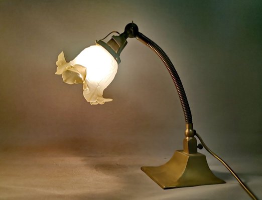 Art Deco Goose Neck Table Lamp in Brass and Frosted Glass from General Electric, 1930s-SCS-1450088