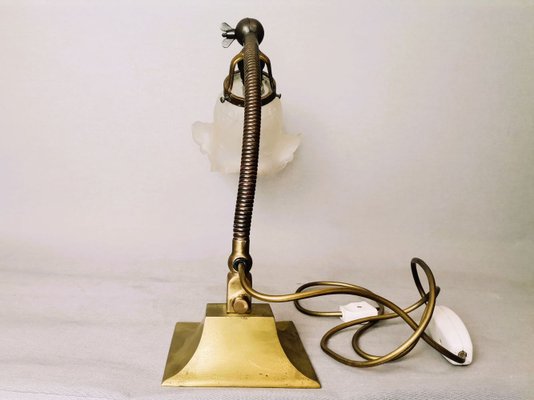 Art Deco Goose Neck Table Lamp in Brass and Frosted Glass from General Electric, 1930s-SCS-1450088