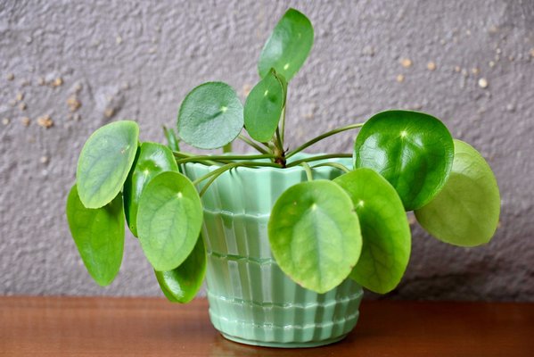 Art Deco Green Pot from Saint Clément, 1930s-AIU-1798087