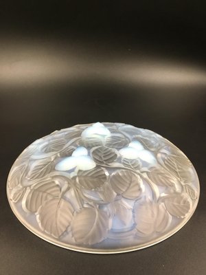 Art Deco Opalescent Glass Bowl with Hazelnut Motif by Arrers, 1930s-SAK-1797387