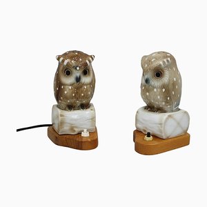 Art Deco Porcelain Owl Table Lamps, Czechoslovakia, 1930s, Set of 2-TZ-1269890