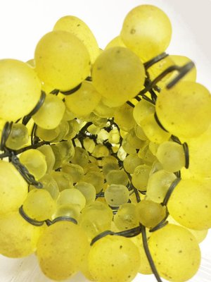 Art Glass Grape Pendant Lamp, 20th Century-UCH-1224624