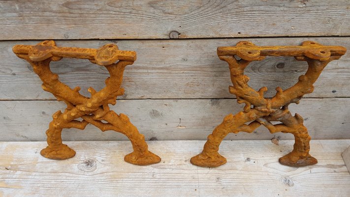 Art Nouveau Cast Iron Bench Legs with Decoration, Set of 2-STK-1985706