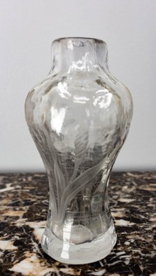 Art Nouveau French Glass Vase with Iris and Lacusted Decoration, 1890s-RIU-1420992