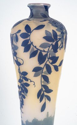 Art Nouveau Glass Vase by De Vez, 1900-WFS-1801567