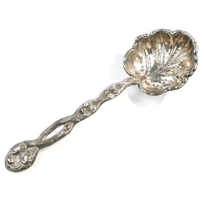 Art Nouveau Polish Pickling Spoon by Bros. Buch, 1890s-BKO-1801382