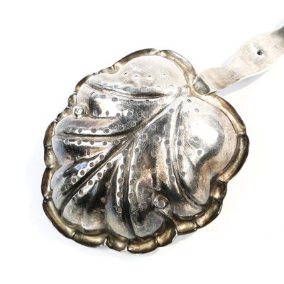 Art Nouveau Polish Pickling Spoon by Bros. Buch, 1890s-BKO-1801382