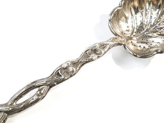 Art Nouveau Polish Pickling Spoon by Bros. Buch, 1890s-BKO-1801382