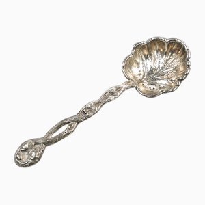 Art Nouveau Polish Pickling Spoon by Bros. Buch, 1890s-BKO-1801382