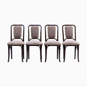 Art Noveau Bentwood Chairs from Thonet, 1905, Set of 4-YZB-1822529