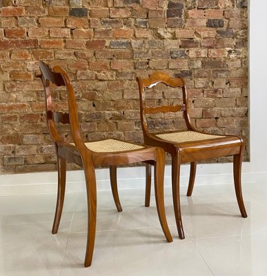 Austrian Biedermeier Dining Chairs, Early 19th Century, Set of 2-WZF-958259