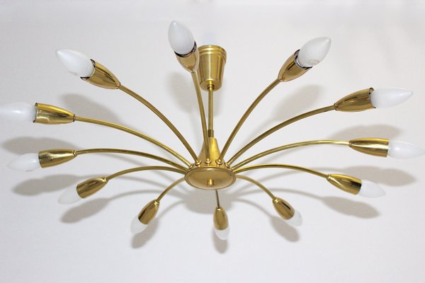 Austrian Brass Spider Flush Mount, 1950s-NB-569022